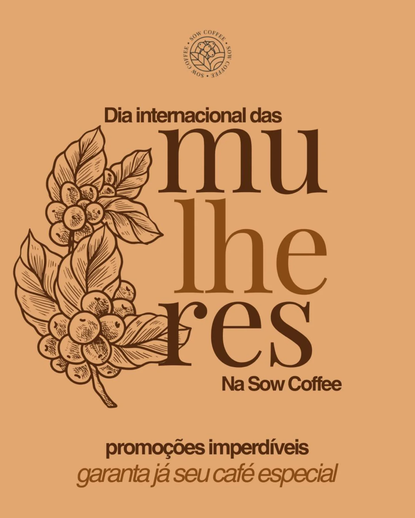 SOW Coffee gelado com Schweppes